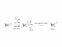 Ephedrine as chiral auxiliary