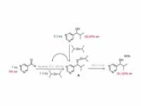 Soai autocatalysis - illustration for...