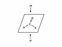 Illustration of an sp2-hybridized pro...