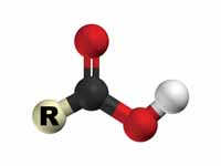 3D Structure of the Carboxyl Group