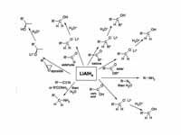 Lithium aluminium hydride - organic r...