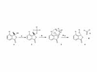 IBX acid mechanism