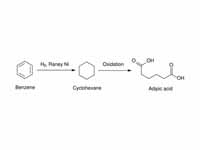 Reduction of benzene into cyclohexane.