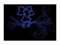 Nuclear magnetic resonance structure ...