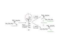 A typical SN1 reaction of a chiral te...