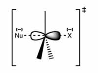 The general structure of the transiti...