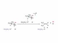 E2 reaction