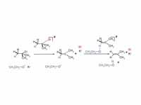 E1 reaction