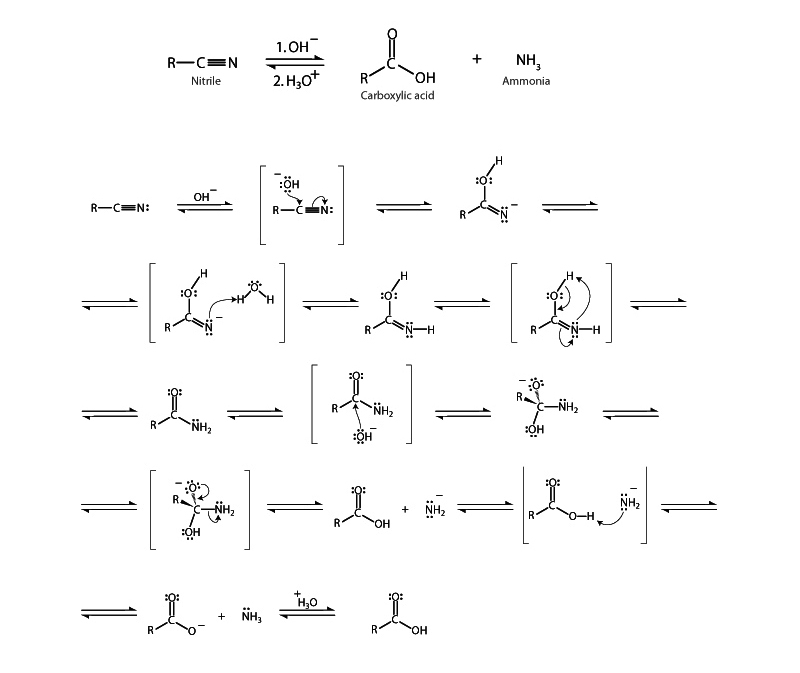 Nitrile hydrolysis