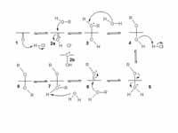 Acetalisation mechanism