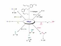 Reaction of Grignard reagents with ot...