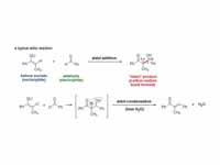 Typical aldol reactions