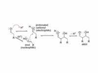 Acid catalyzed aldol mechanism