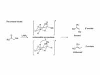 Enolate formation - Ireland model