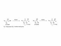 Substrate based stereocontrol in the ...