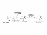 Evans' oxazolidinone chemistry - a ch...