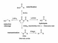 Evans' oxazolidinone chemistry - meth...