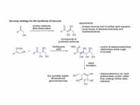 macmillan strategy schematic stereoco...