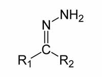 Structure of the hydrazone functional...