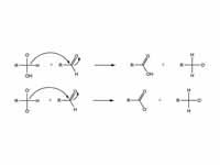 2nd step in the Cannizzaro reaction -...