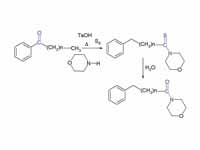 Willgerodt-Kindler reaction