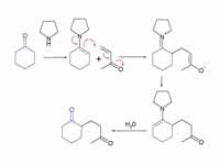 Stork enamine alkylation