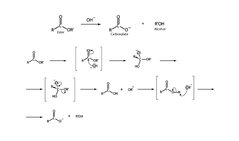 Hydrolysis of ester - saponification