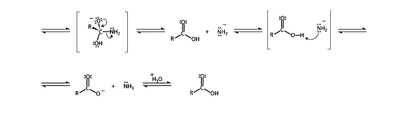 Nitrile hydrolysis 2
 