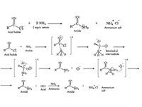 Reaction of amine with acid halides.