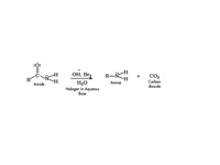 Hoffman rearrangement.