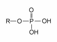 A phosphoric acid ester