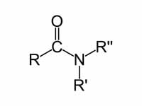 Amide functional group