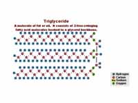 Simplified Diagram Of The Saponificat...