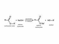 Basic hydrolysis of an ester