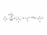 Curtius rearrangement.  Using dipheny...