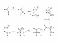 Schmidt reaction - Mechanism with Car...