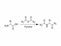 The reaction scheme of the Dakin-West...