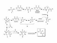 Mechanism of the Dakin-West reaction