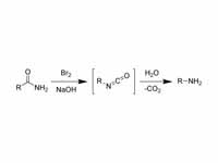 Hofmann rearrangement