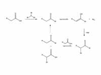 Hell-Volhard-Zelinsky halogenation