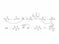 Mechanism of Claisen condensation