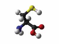 L-cysteine - ball and stick model