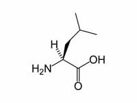 L-leucine