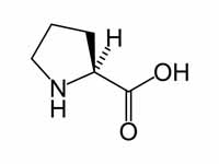 L-proline