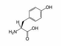 L-tyrosine