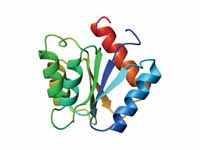 Flavodoxin fold - Ribbon diagram of C...