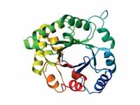 Top view of a triosephosphateisomeras...