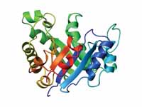 Side view of the same TIM barrel (PDB...