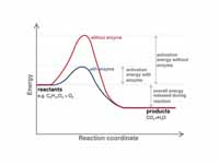 Diagram of a catalytic reaction, show...