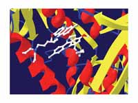 Trypanothione reductase with the lowe...